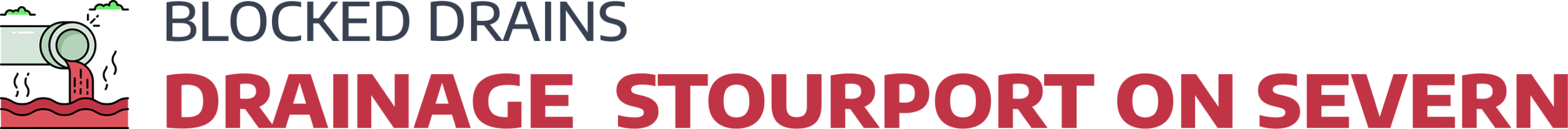 website logo
